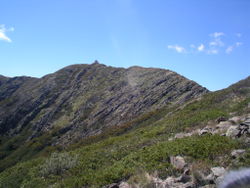 Le mont Buller en été, face nord-est