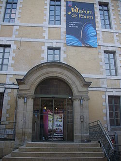 Musée de Rouen.JPG
