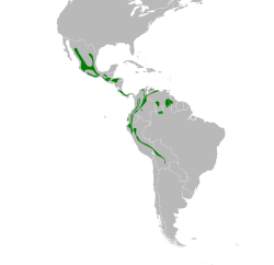 Myioborus miniatus map.svg