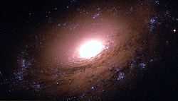 Image illustrative de l'article NGC 3169