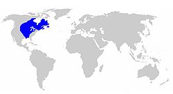 Localisation de la Nouvelle-France (en bleu) dans le monde.