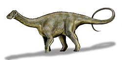 Reconstitution du Rebbachisauridae Nigersaurus