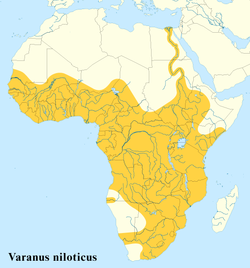Nile monitor (varanus niloticus) distribution map.png
