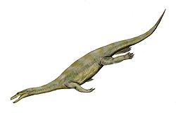  Reconstitution d'un Nothosaurus