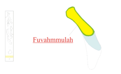 Carte de localisation de Fuvammulah.
