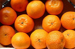  Citrus clementina