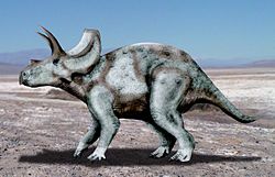  Reconstitution d'Ojoceratops fowleri