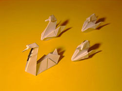 Origami 05426.jpg