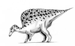  Ouranosaurus nigeriensis
