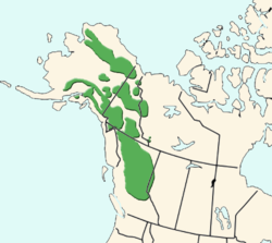  Répartition du mouflon de Dall aux États-Uniset au Canada.