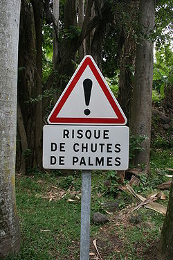 Panneau-chute-palmes-Réunion.JPG