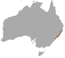 Parma Wallaby area.png