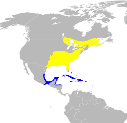 Parula americana map.svg