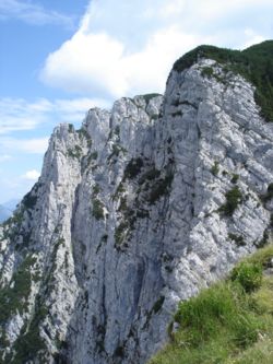 Vue du versant Nord du Petersköpfl.