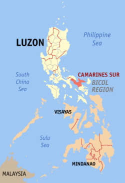 Localisation de la province de Camarines Sur (en rouge) dans les Philippines.