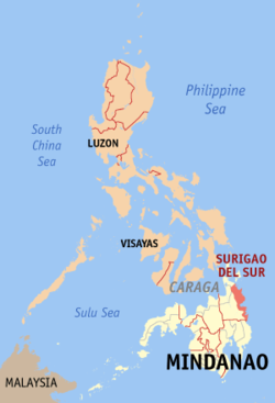 Localisation de la province de Surigao del Sur (en rouge) dans les Philippines.