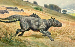  Phenacodus sp., peinture de Henirich Harder.