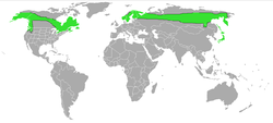Pinicola enucleator-Map.png