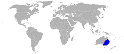 Plectorhyncha lanceolata range.png