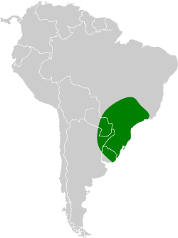 Répartition du Troupiale guirahuro