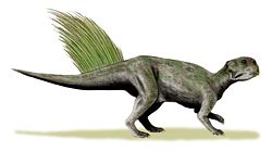  Reconstitution de Psittacosaurus mongoliensis.