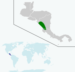 Répartition du Quiscale du Nicaragua