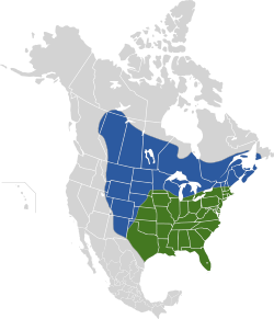bleu: zone de nidification vert: présent toute l'année