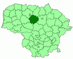 Image illustrative de l'article Municipalité du district de Radviliškis