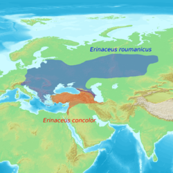 Aire de répartition du Hérisson d'Europe orientale (rouge)