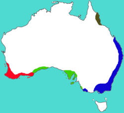 Carte d'Australie avec R. f. fucipes sur la côte sud-ouest, R. f. greyi sur la côte sud au centre, R. f. assimilis sur les côtes sud-est et est, et R. f. coracius à l'est de la pointe qui se situe au nord-est de la carte