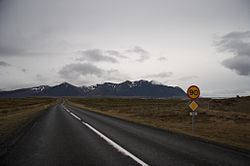 Road 54 Iceland.jpg
