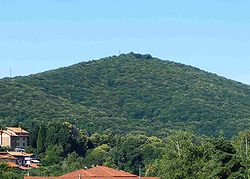 Le mont Rovella depuis Pettinengo.