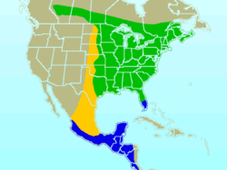 vert : zone estivale  bleu : zone hivernale  jaune : chemin migratoire