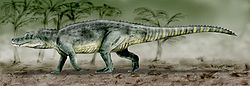  Saurosuchus galilei