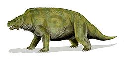  Reconstitution graphique de Scutosaurus karpinskii
