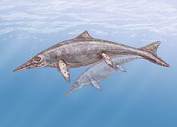  Shastasaurus altispinus