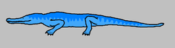  Simoedosaurus