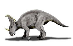  Reconstitution de Sinoceratops zhuchengensis