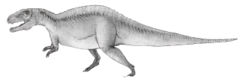  Acrocanthosaure(Acrocanthosaurus atokensis)