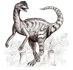  Dilophosaure (Dilophosaurus)