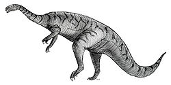  Platéosaure (Plateosaurus)