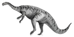  Platéosaure