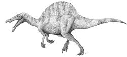  Spinosaurus aegyptiacus