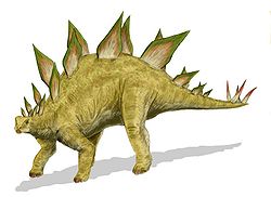  Stegosaurus stenops (vue d'artiste)
