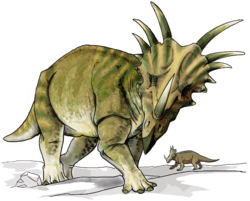 Reconstitution de Styracosaurus