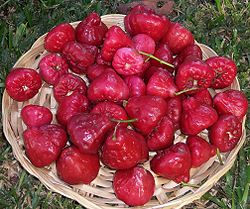  Fruits du jamalac dans un panier