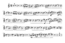 Premier solo pour cor du deuxième mouvement de la symphonie
