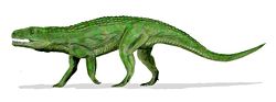  Teratosaurus