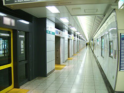 TokyoMetro-N02-Shirokanedai-station-platform.jpg