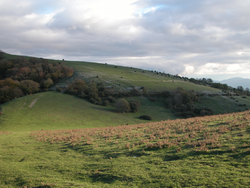 Vue du sommet.